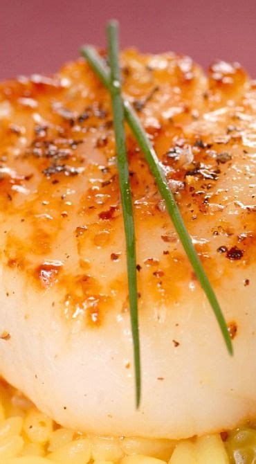 Pan Seared Scallops With Saffron Rice