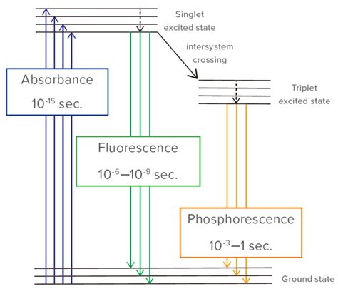 Phosphorescence Measurement Jasco Global