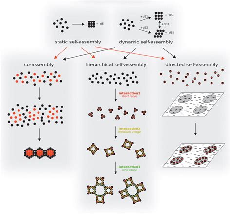 Graphical Rendition Of Static And Dynamic Self Assembly And How They