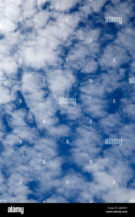 Altocumulus Castellanus Fair Weather Clouds In Blue Sky Stock Photo Alamy