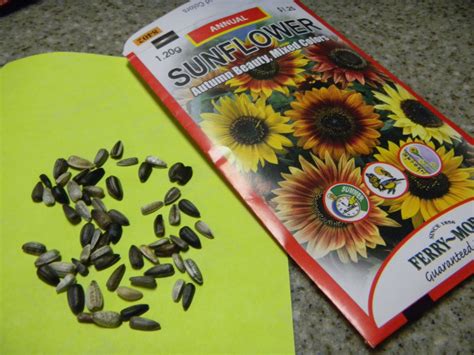 Diy Indoor Seed Starting System 5 Steps With Pictures Instructables