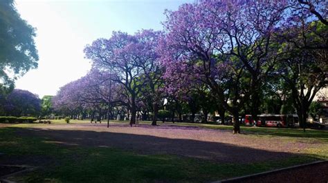 La Ciudad Tiene Uno De Los Barrios M S Cool Del Mundo Comunas