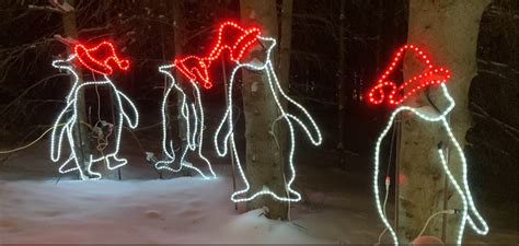 Looking for a weekend plan? Shine bright and visit Alaska Zoo Lights ...