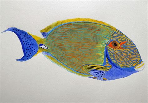 Watercolor Fish Paintings