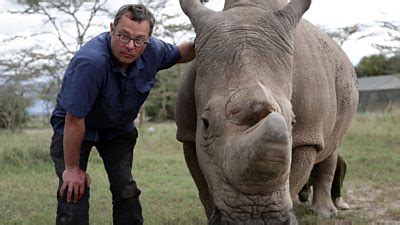 Saving Africa S Elephants Hugh And The Ivory War Media Centre