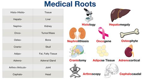 Root Meanings Dictionary