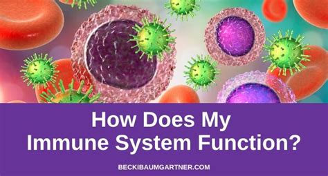 How Does My Immune System Function? ~ Your Holistic Life Coach