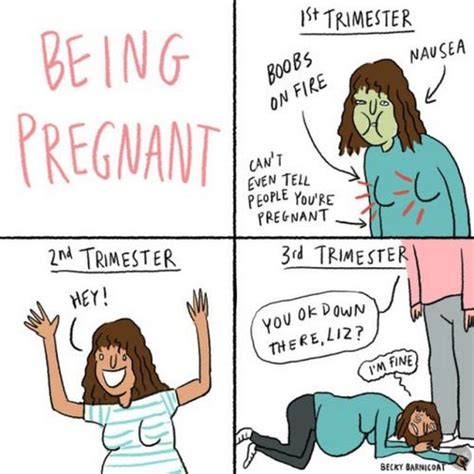 Funny Pregnancy Memes With Laughs Embarazo Divertido Humor Del