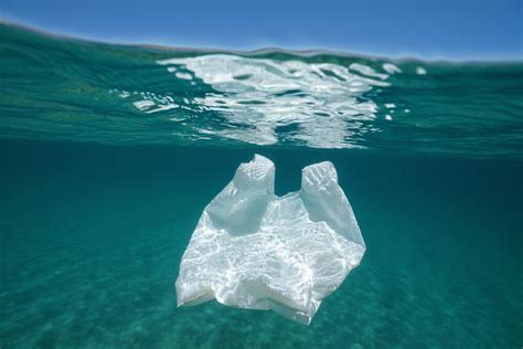 Crean Bolsas Pl Sticas Que Se Degradan En El Agua De Mar China