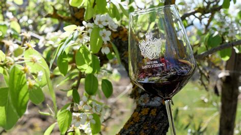 Fattoria Santo Stefano - Wine Tasting and Tour in Tuscany | Winetourism.com