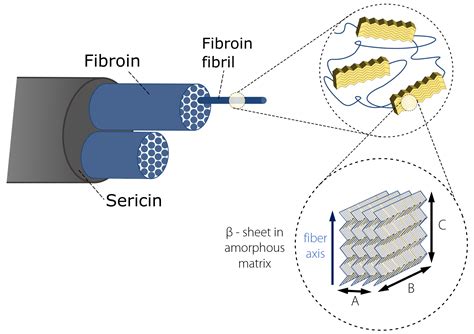 Protein Fibers Crystalline Structure Determined With WAXS