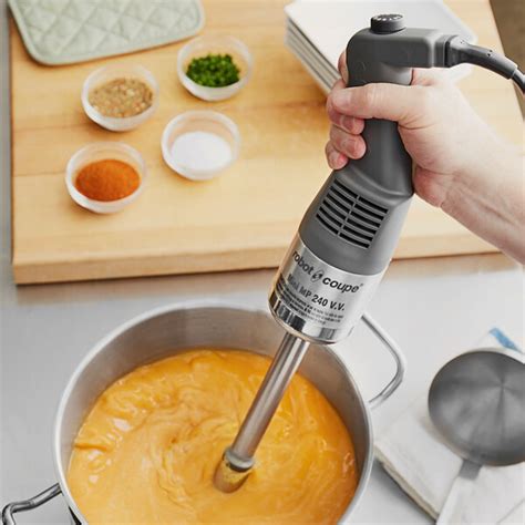 Robot Coupe MMP240VV Combi Mini 10 Variable Speed Immersion Blender