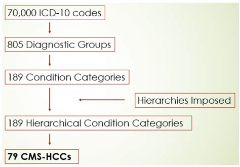 Cms Hcc List Lida Sheila