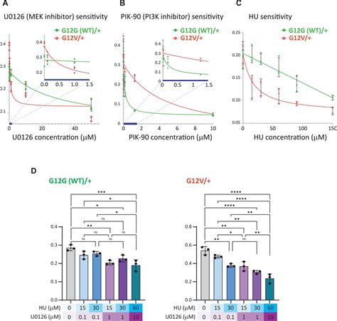 Htert Rpe 1 Cells Atcc Bioz