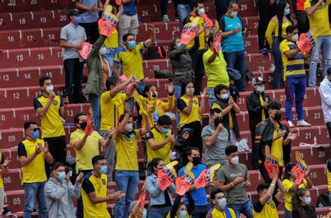 El Coe Nacional Aprobó El 50 De Aforo Para El Partido Ecuador Brasil