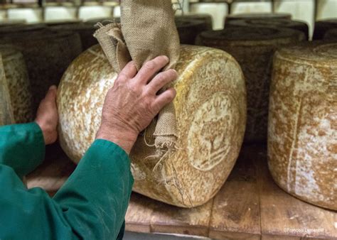 Comment Est Produit Le Fromage Laguiole Aop