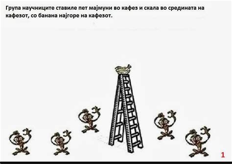ЦРН БЛОК