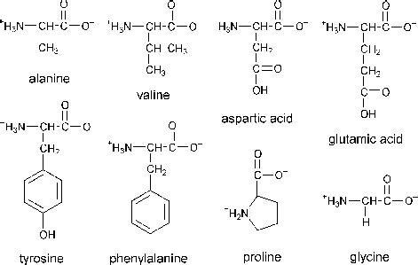 Zwitterion Form