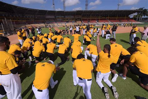 Guilas Cibae As Anuncian Inicio De Su Campo De Entrenamientos Para El