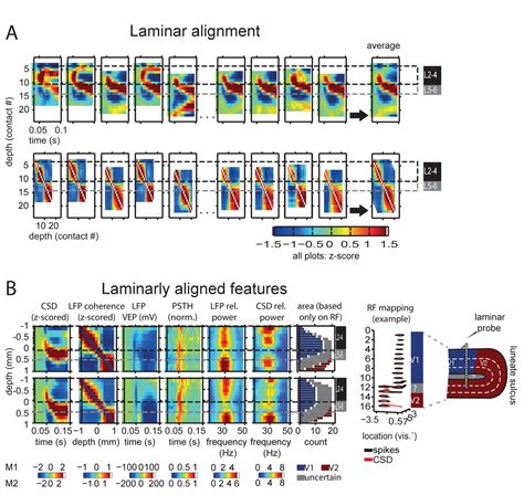 Figures And Data In A Quantitative Theory Of Gamma Synchronization In