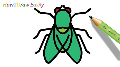 How To Draw A Fly Easy Drawing Coloring Youtube