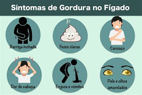 Os Principais Sintomas De Gordura No F Gado Atualizado