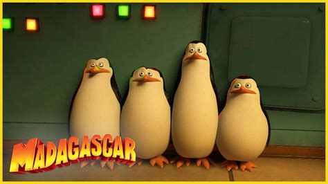 Los pingüinos no son invisibles DreamWorks Madagascar en Español