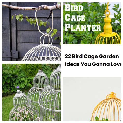 Bird Cage Garden Ideas You Gonna Love Sharonsable