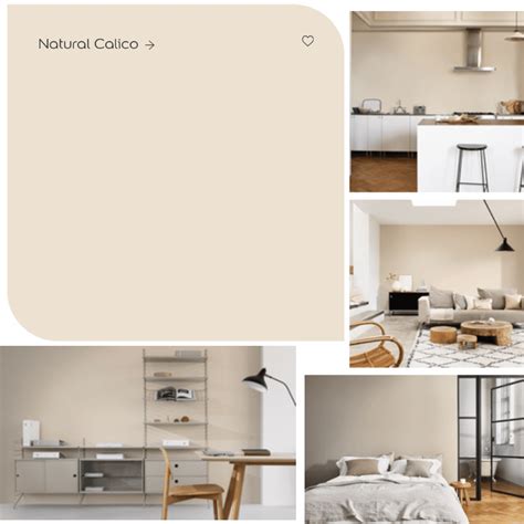 What Colour Is Dulux Natural Calico Complementary Colours Sleek