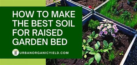 Vegetable Soil Best Raised Bed Vegetable Garden Soil