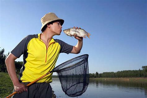 釣魚文化：收集民間10種釣鯉魚餌料配方 每日頭條