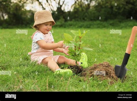 Cute baby girl planting tree in garden Stock Photo - Alamy