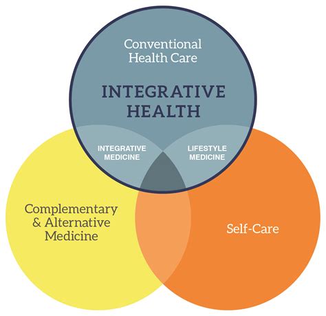 Integrative Health Samueli Foundation Samueli Foundation