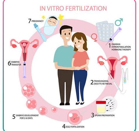 Memahami Fertilisasi In Vitro Ivf Temanmama