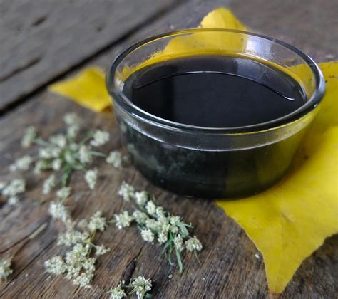 Тихоокеанското чудо – масло от таману | Кукуряк