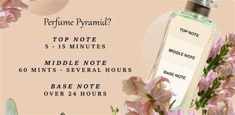 understanding fragrance notes top middle base explained