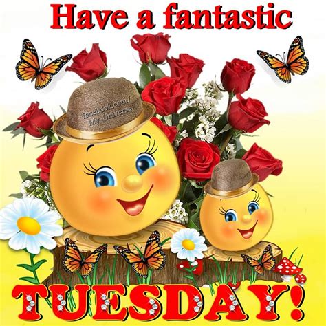 Fantastic Tuesday Pictures Photos And Images For Facebook Tumblr