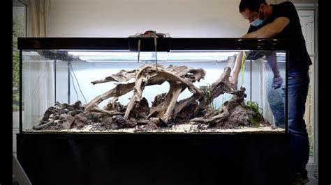 Une Belle Racine Pour Un Aquascape Dans Le Style Nature Aquarium K