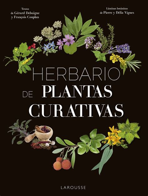 La Belleza De Las Plantas Que Curan Plantas Medicinales Hierbas