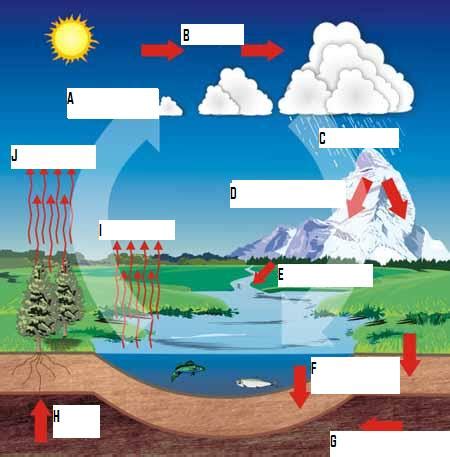 Hydrologic Cycle Diagram - ProProfs Quiz