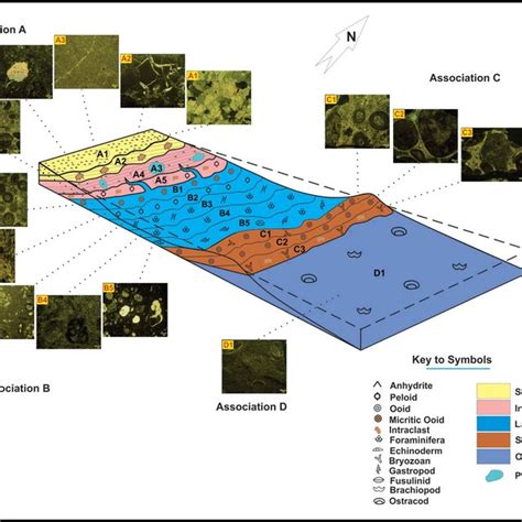 Depositional Model Of Dalan Formation In Zireh Gas Field Well Zh A Download Scientific Diagram