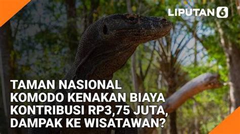 Liputan6 Update Wacana Tiket Terusan Taman Nasional Komodo Senilai Rp