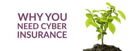 Why You Need Cyber Insurance Adam J Walker And Associates Ltd