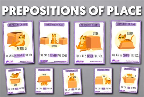 Prepositions Of Place Flashcards