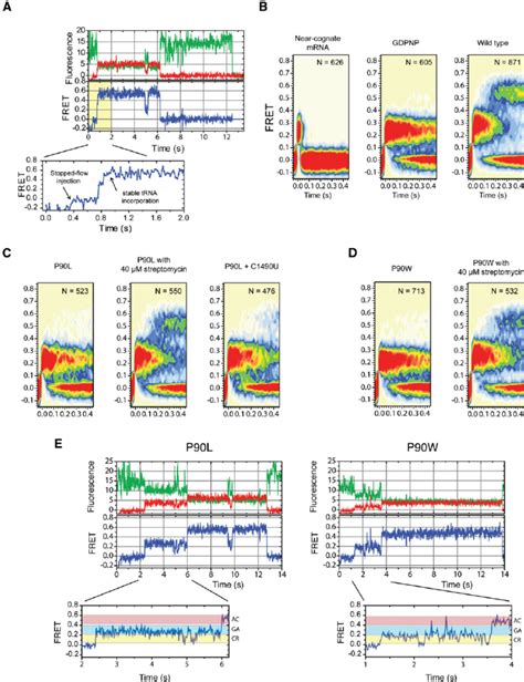 Single Molecule Observations Of Trna Selection On T Thermophilus S