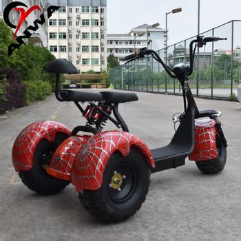 Three Wheels Big Tire Trike Adult Tricycle Citycoco 3 Wheel Electric