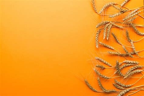 Premium Photo Spikelet In Mykolayiv