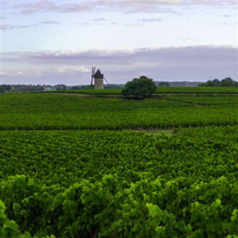 Interesting Facts about Haut- Médoc in Bordeaux region | Winetourism.com