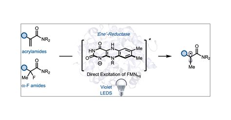 Photoenzymatic Reductions Enabled By Direct Excitation Of Flavin Dependent “ene” Reductases