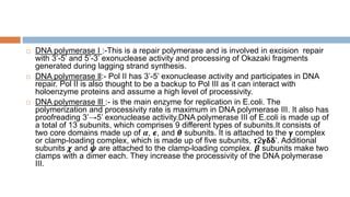 polymerase | PPT